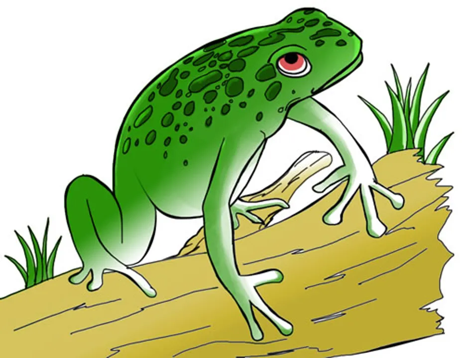  Clipart Station 