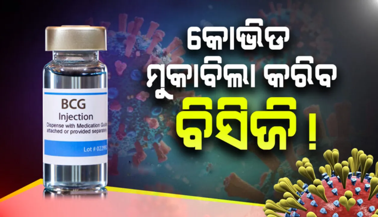  ଆଇସିଏମଆର ସର୍ଭେରୁ ଆସିଲା ଭଲ ଖବର: ବୟସ୍କଙ୍କ ମଧ୍ୟରେ ରୋଗ ପ୍ରତିରୋଧକ ଶକ୍ତି ବଢ଼ାଉଛି ବିସିଜି ଟିକା