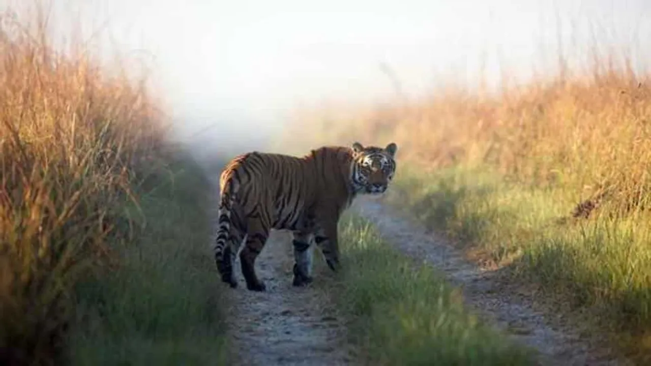  Image Courtesy of Hindustan Times 