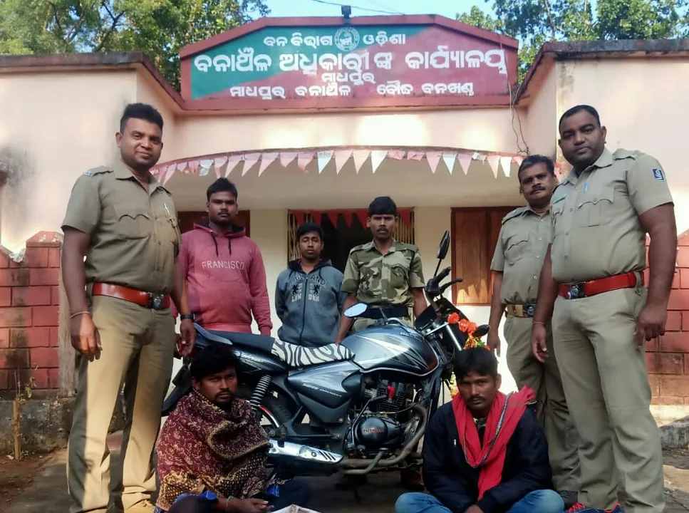  ପେଟ୍ରୋଲିଂ ବେଳେ ଧରା ପଡିଲା ବାରହା ମାଂସ, ୧ବାଇକ ୧୯କିଲୋଗ୍ରାମ ମାଂସ ଜବତ ୪ଗିରଫ