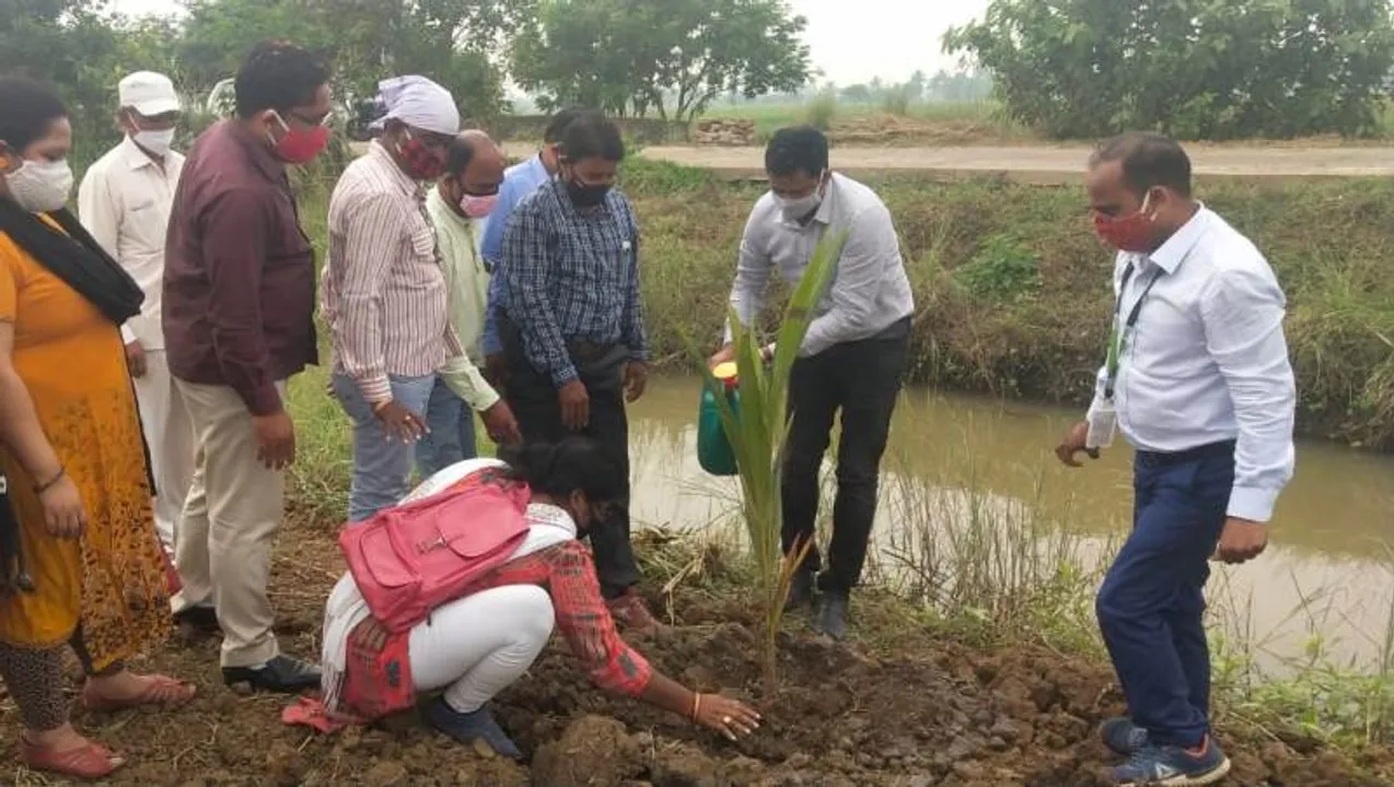  ଜିଲ୍ଲା ପ୍ରକଳ୍ପ ଅଧିକାରୀଙ୍କ ଦ୍ୱାରା ନଡ଼ିଆ ଚାରା ରୋପଣ
