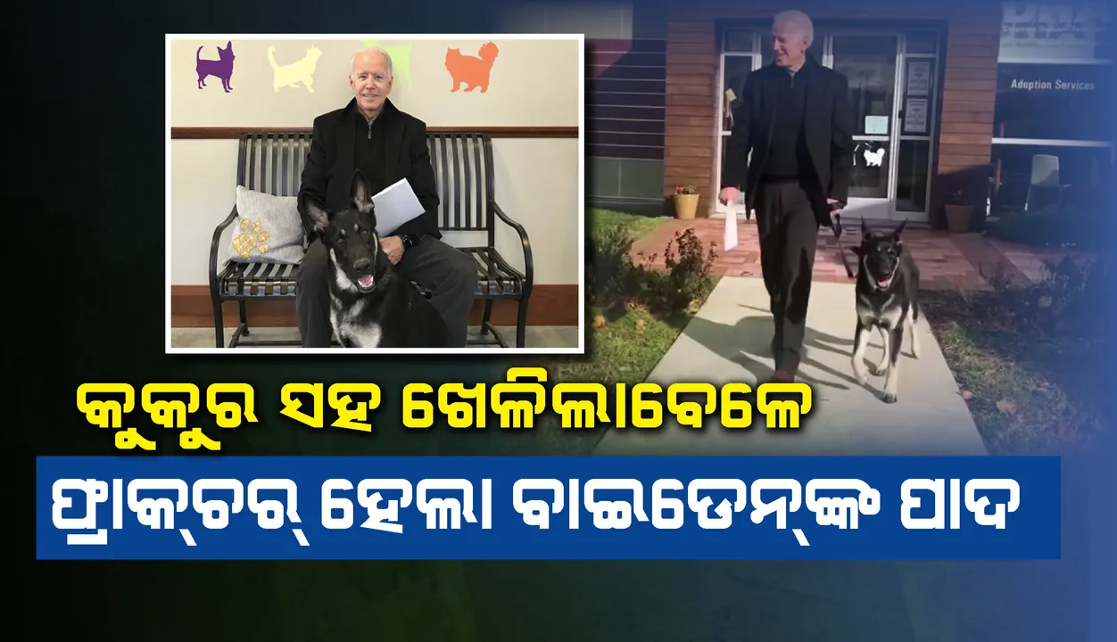  କୁକୁର ସହ ଖେଳିଲା ବେଳେ ବାଇଡେନ୍‌ଙ୍କ ଗୋଡ଼ ମୋଡ଼ି ହୋଇ ଫାଟି ଯାଇଛି ହାଡ଼