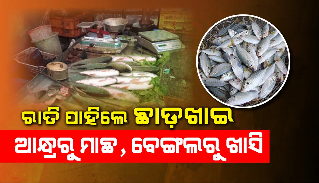  ରାତି ପାହିଲେ ଛାଡ଼ଖାଇ : ଆନ୍ଧ୍ରରୁ ମାଛ, ବେଙ୍ଗଲରୁ ଖାସି