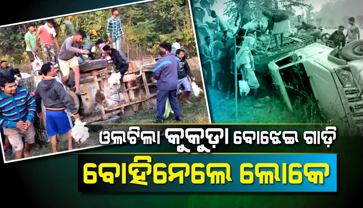  ସୁନ୍ଦରଗଡ: ଓଲଟିଲା କୁକୁଡ଼ା ବୋଝେଇ ଗାଡି; ବୋହିନେଲେ ଲୋକେ