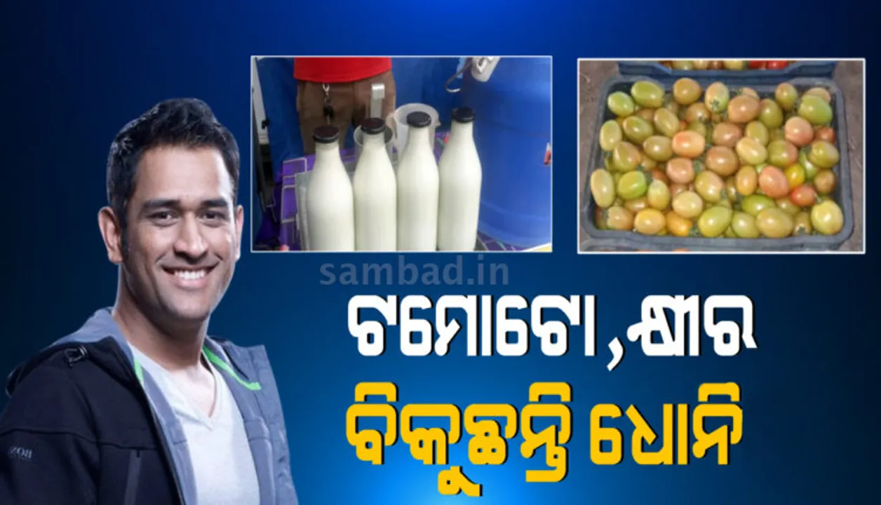  କ୍ୟାପ୍‌ଟେନ୍‌ କୁଲ୍‌ଙ୍କ‌ ଚାଷ ନିଶା, ପ୍ରତିଦିନ ଫାର୍ମରୁ ବାହାରୁଛି ୩୦୦ ଲିଟର ଦୁଗ୍ଧ