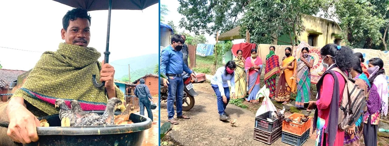  ଜୀବିକା ପ୍ରୋତ୍ସାହନ ପାଇଁ ସରକାରଙ୍କ କୁକୁଡ଼ା ପାଳନ ଯୋଜନାରେ ବେଦାନ୍ତର ସହଭାଗିତା