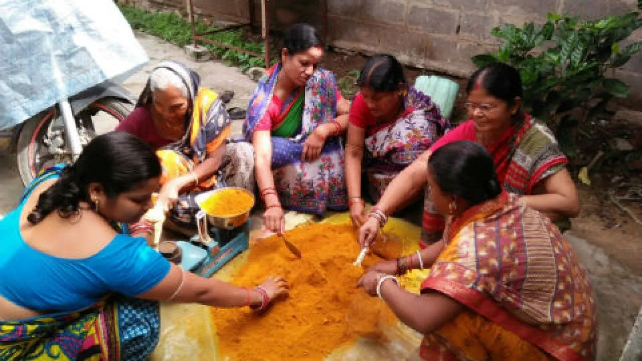  ରାୟଗଡ଼ାରେ ଏସଏଚଜିକୁ ମିଳୁନି ଋଣ: ବ୍ୟାଙ୍କରେ ପଡ଼ିଛି ୧୦୨୩ ଆବେଦନ