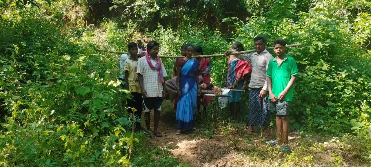  ଷ୍ଟ୍ରେଚରରେ ବୁହା ହେଲେ ଗର୍ଭବତୀ; ଗାଁକୁ ରାସ୍ତା ନାହିଁ...ଅଧାରେ ଅଟକିଲା ଆମ୍ବୁଲାନ୍ସ