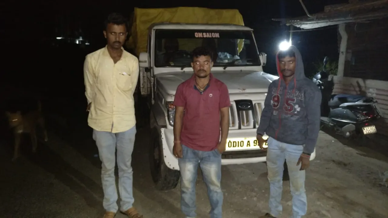  ଆନ୍ଧ୍ରରୁ କାଲିମେଳା ଆସୁଥିବା ଚୋରା କଇଁଛ ଉଦ୍ଧାର, ୩ ଗିରଫ