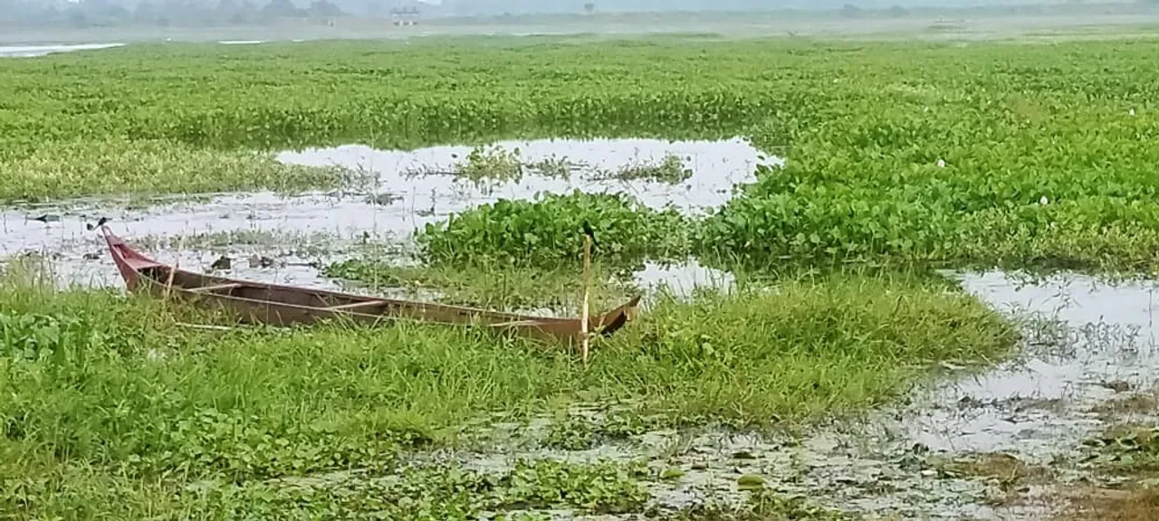  ଅଂଶୁପାକୁ ମାରିଦେଲେ! ଯେତେ ସଫା କଲେ ବି ଦଳମୁକ୍ତ ହେଉନି