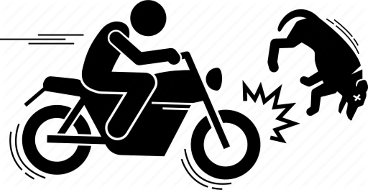  Iconfinder 