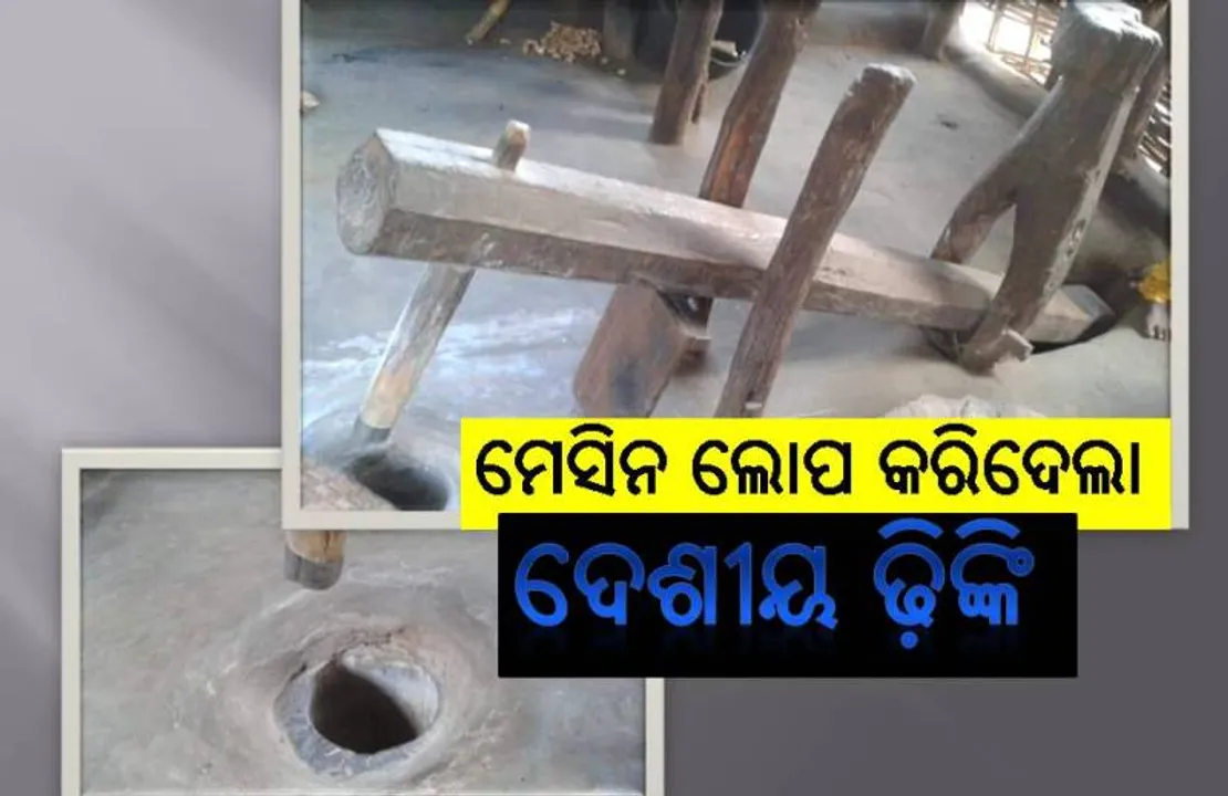  ଗାଁ ଗହଳିରୁ ଉଭେଇ ଗଲାଣି ଢ଼ିଙ୍କି, ଆଗାମୀ ପିଢ଼ି କେବଳ ଚିତ୍ର ଦେଖିବେ