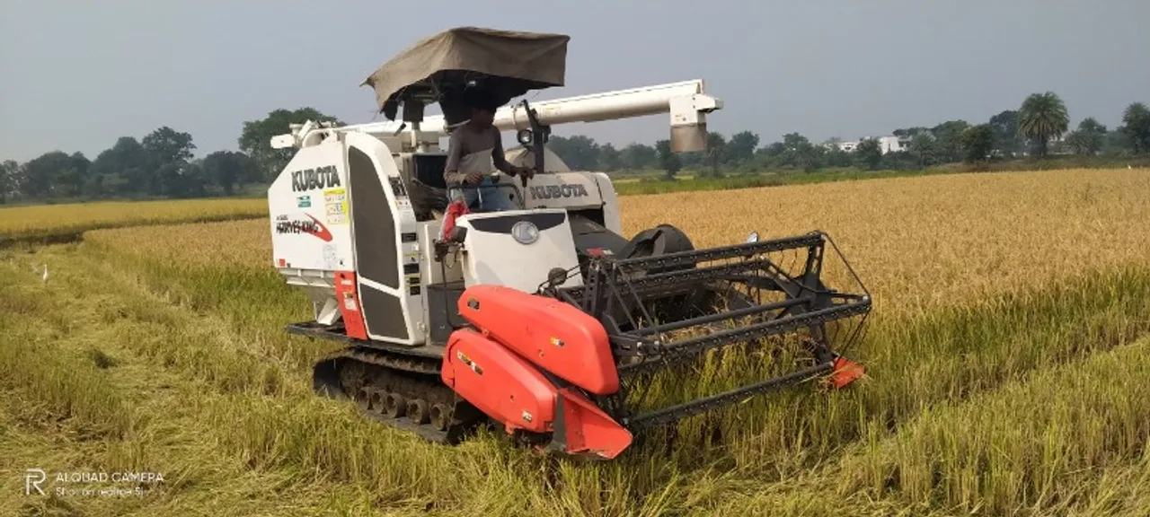  ଅଧିକ ଅମଳ କରି ଚାଷୀ ଏବେ ହିନସ୍ତା ଭୋଗୁଛି, ୧୧୦୦ ଟଙ୍କାରେ ବିକ୍ରି ହେଉଛି ଧାନ