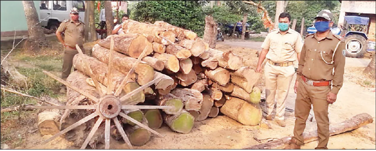  ବେଆଇନ କାଠଗୋଲାରେ ଚଢ଼ଉ, ଅଢ଼େଇ ଲକ୍ଷ ଟଙ୍କାର କାଠଗଣ୍ଡି, ଯନ୍ତ୍ରାଂଶ ଓ ଫର୍ଣ୍ଣିଚର ସାମଗ୍ରୀ ଜବତ