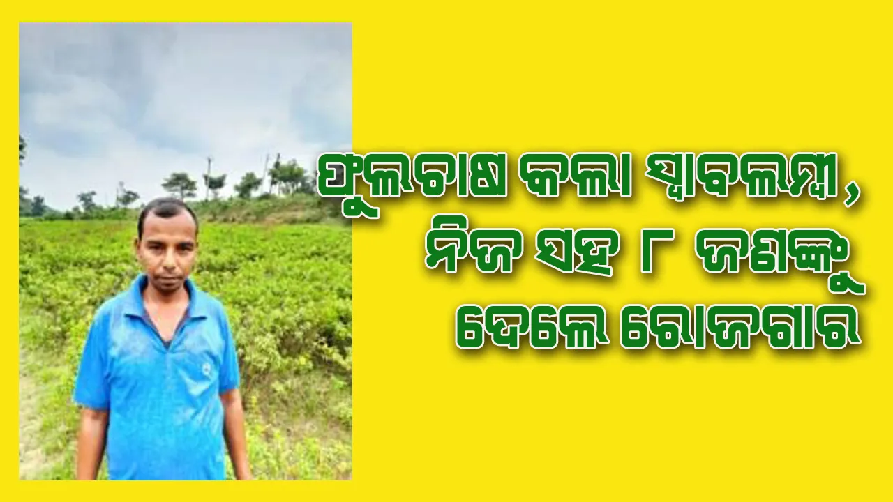  ଫୁଲଚାଷ ଦେଲା ନୂତନ ପରିଚୟ; ନିଜେ ସ୍ବାବଲମ୍ବୀ ହେବା ସହ ୮ ଜଣଙ୍କୁ ରୋଜଗାର ଦେଲେ ସଞ୍ଜୟ