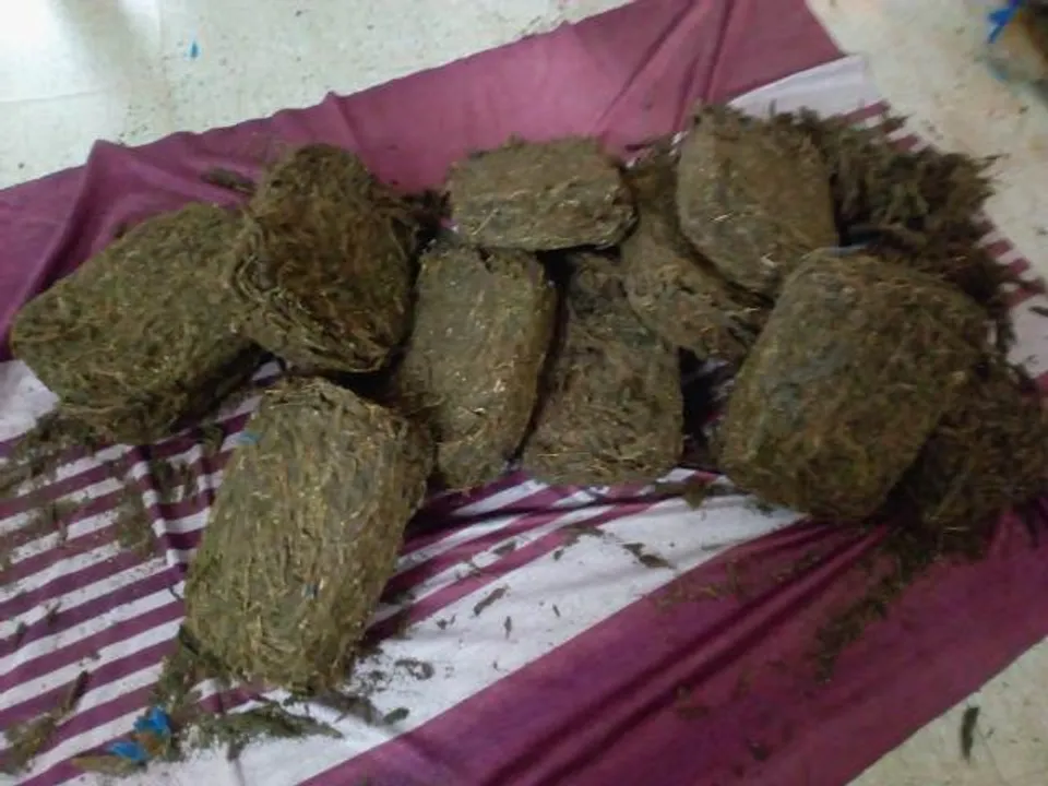  ୬୧ କେଜିରୁ ଅଧିକ ଗଞ୍ଜେଇ ଜବତ, ୩ ଅଟକ