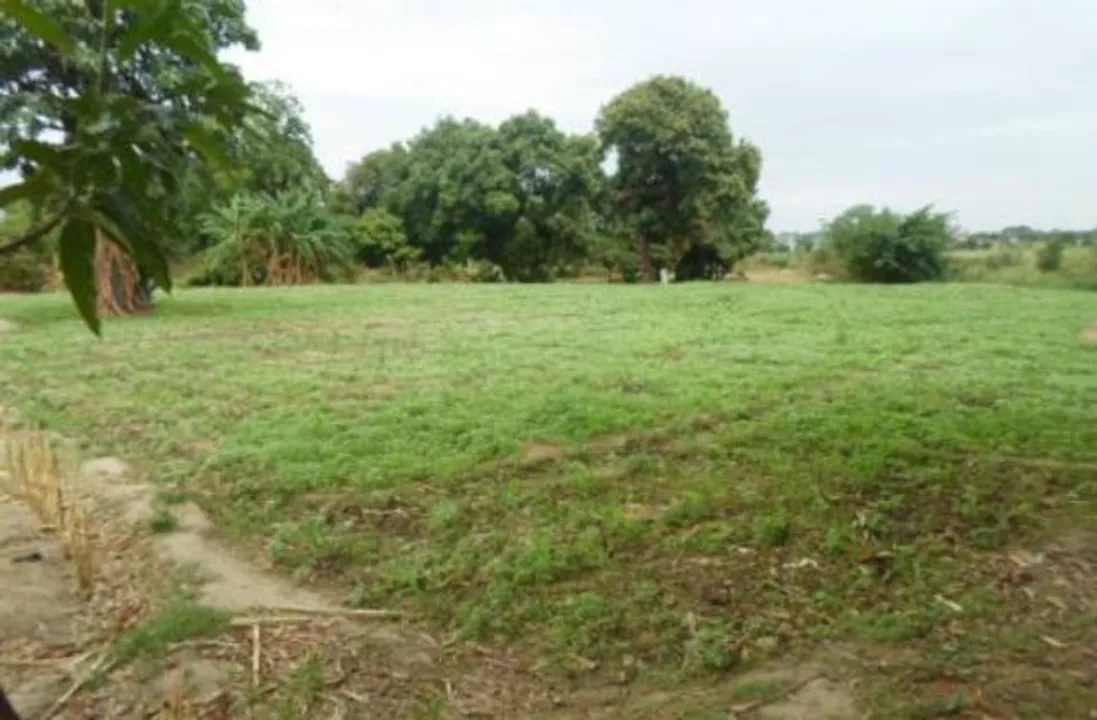  Nigeria Property Centre 