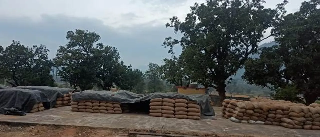  ମେଘୁଆ ପାଗ ଯୋଗୁଁ ଚିନ୍ତାରେ ଚାଷୀ, ମଣ୍ଡିରେ ପଡ଼ିରହିଛି ହଜାର ହଜାର ବସ୍ତା ଧାନ