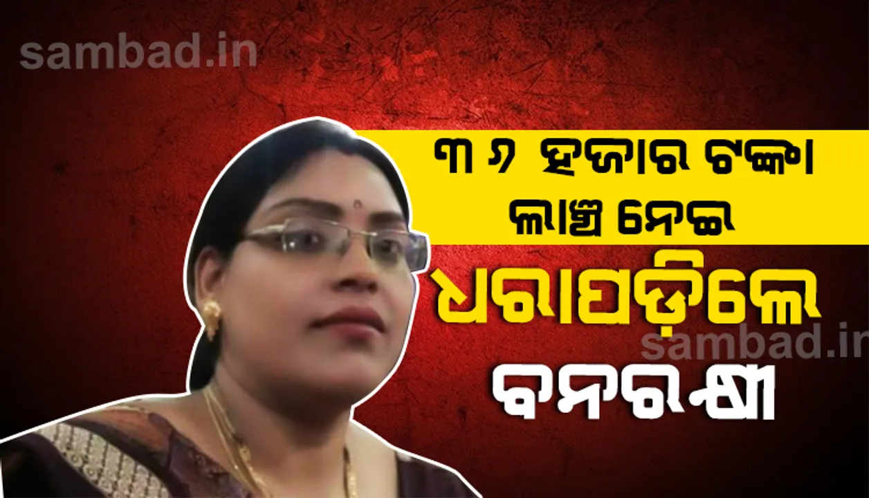  ବିଲ୍‌ ପାସ୍‌ କରିବା ପାଇଁ ଲାଞ୍ଚ ନେଉଥିଲେ ୩୬ ହଜାର ଟଙ୍କା, ବନରକ୍ଷୀଙ୍କୁ ଧରିଲା ଭିଜିଲାନ୍‌ସ