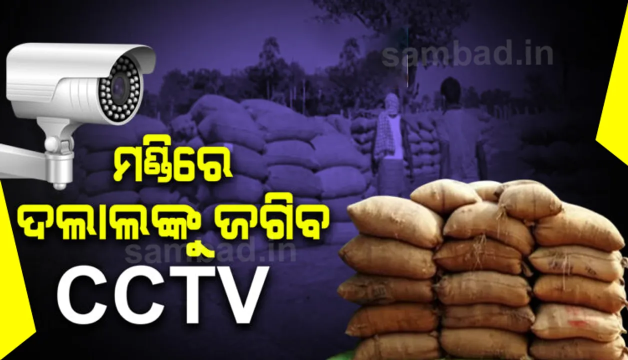  ମାଲକାନଗିରିରେ ଖରିଫ ମଣ୍ଡିର ଶୁଭାରମ୍ଭ, ପ୍ରଥମ ପର୍ଯ୍ୟାୟରେ ୭ ଲକ୍ଷ ୫୫ ହଜାର କ୍ୱିଣ୍ଟାଲ ଧାନ ଖରିଦ ହେବ