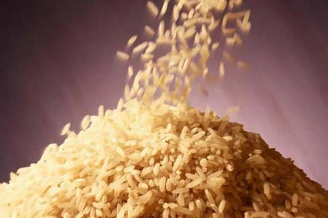  Exporters India 