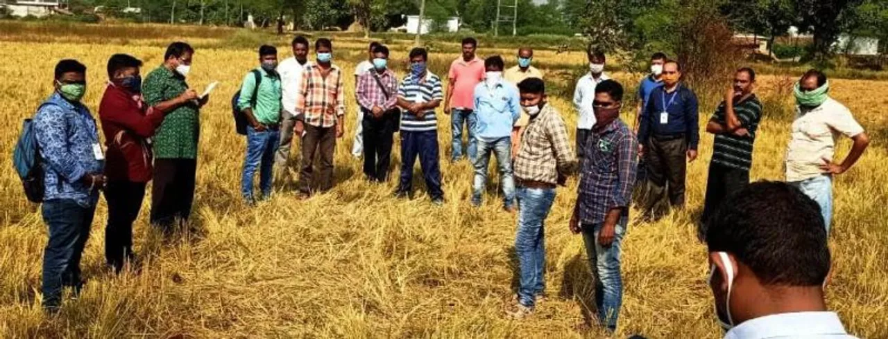  କ୍ରପ୍‌କଟିଂ ‌ରିପୋର୍ଟରେ ଚଞ୍ଚକତା ଉଦ୍ୟମ, ଅଭିଯୋଗ ପରେ ପୁନଃ ଆକଳନ