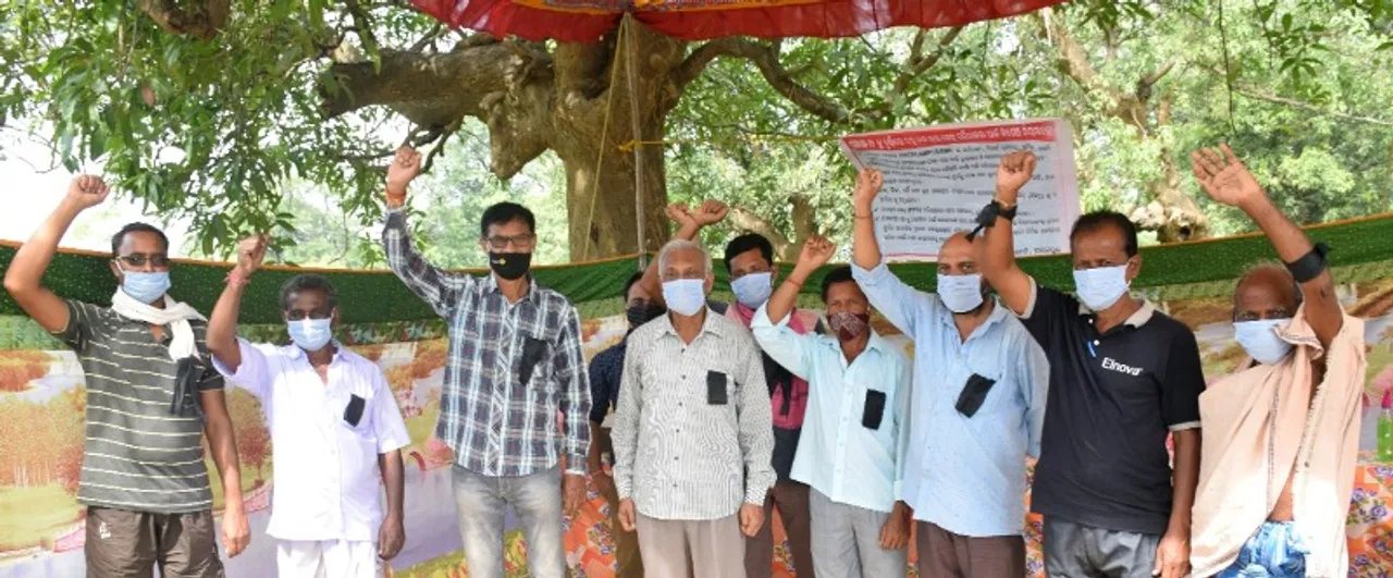  ସମ୍ବଲପୁର ଜିଲ୍ଲାରେ ମଣ୍ଡି ଖୋଲିଲା : ପ୍ରଥମ ଦିନ ମାତ୍ର ଜଣେ ଚାଷୀଙ୍କ ଧାନ କ୍ରୟ