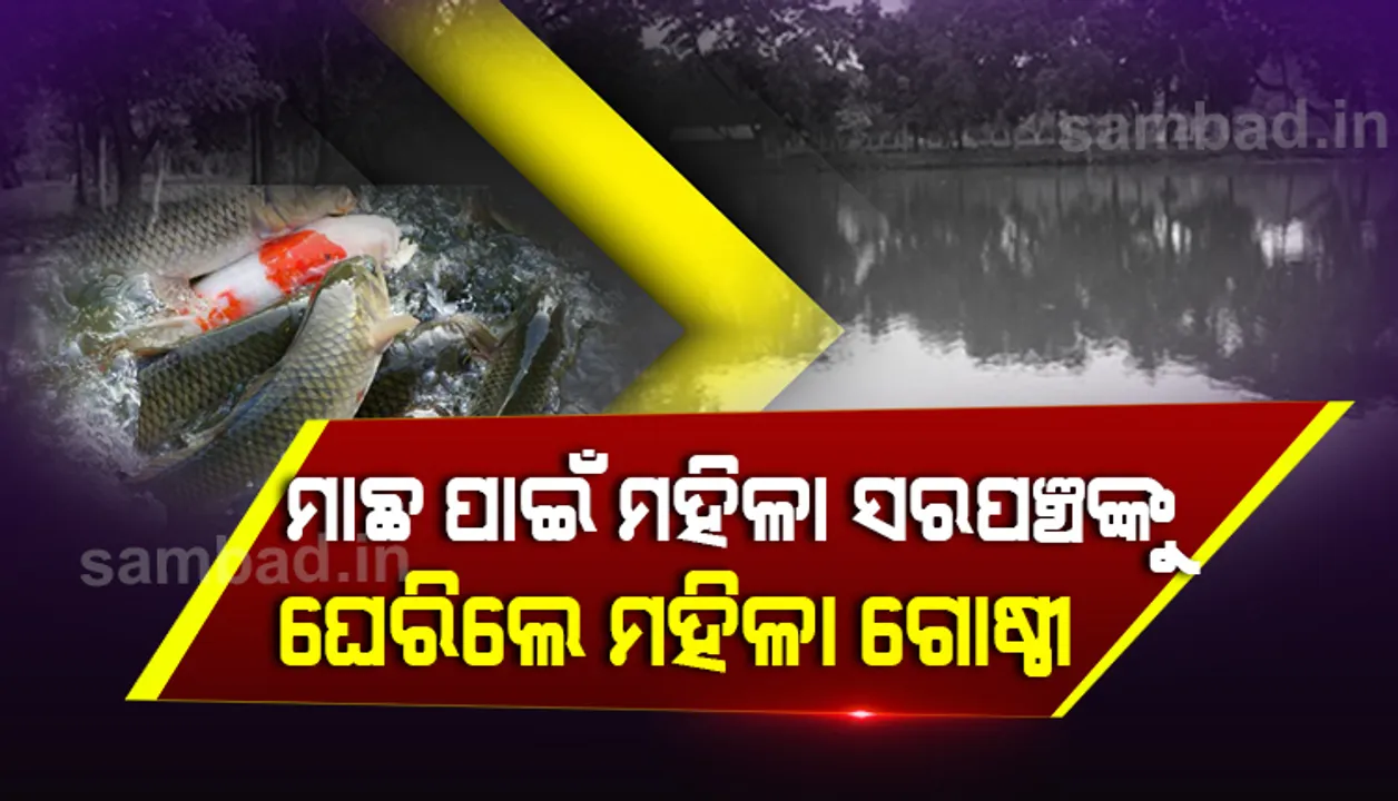  ମାଛଚାଷ ପାଇଁ ନିଲାମକୁ ନେଇ ଉତ୍ତେଜନା: ମହିଳା ସରପଞ୍ଚଙ୍କୁ ଘେରିଲେ ମହିଳା ସ୍ୱୟଂ ସହାୟିକା ଗୋଷ୍ଠୀ