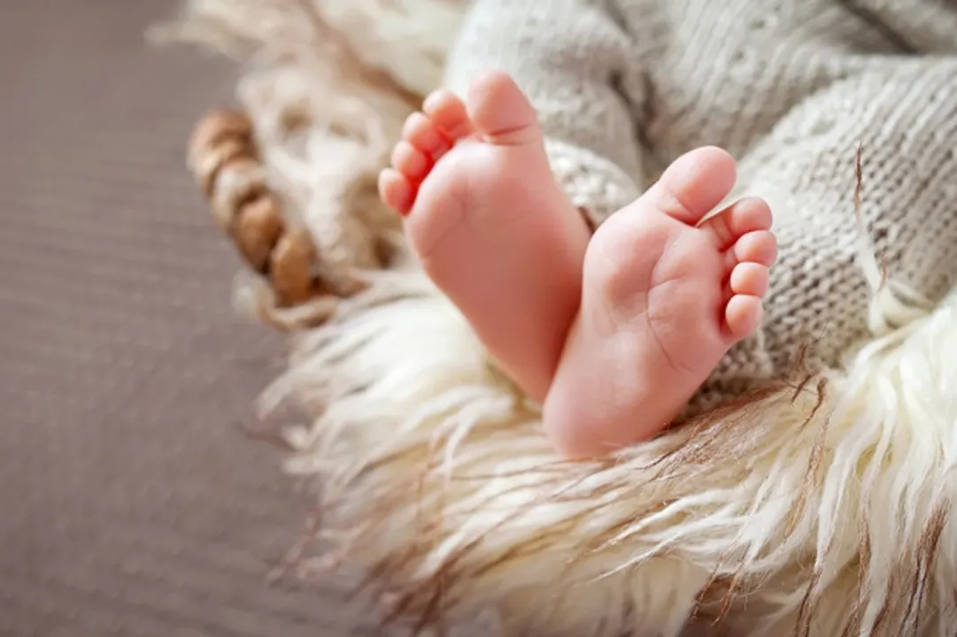  Footfiles 