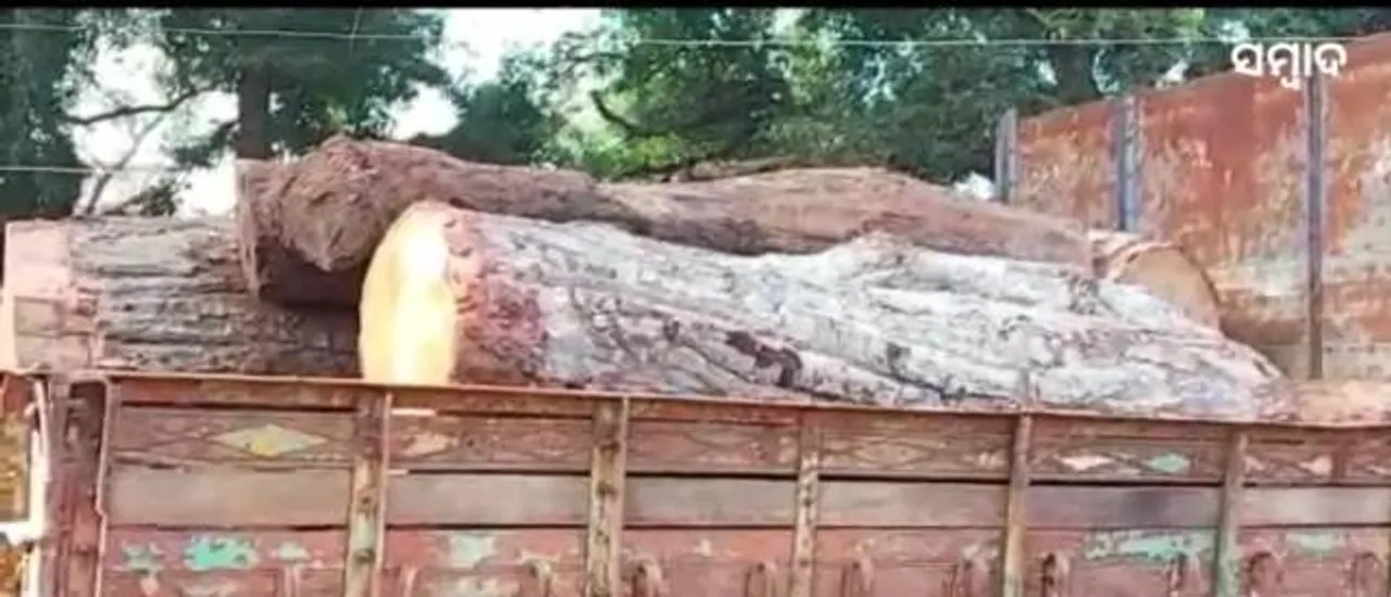 ସାଂକେତିକ ଚିତ୍ର 