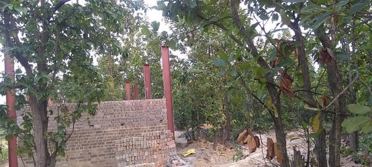  ଅନୁଗୁଳ: ମଶାଣି ଭୂଇଁ ପାଇଁ କୁଇଓ ଜଙ୍ଗଲ କାଟ୍!