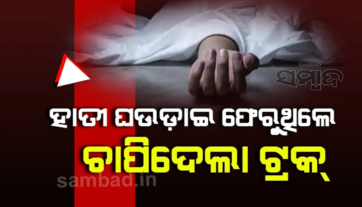  ହାତୀ ଘଉଡାଇ ଫେରୁଥିଲେ, ଟ୍ରକ ଧକ୍କାରେ ବନ୍ୟପ୍ରାଣୀ ସ୍କ୍ଵାର୍ଡ କର୍ମଚାରୀଙ୍କ ମୃତ୍ୟୁ 