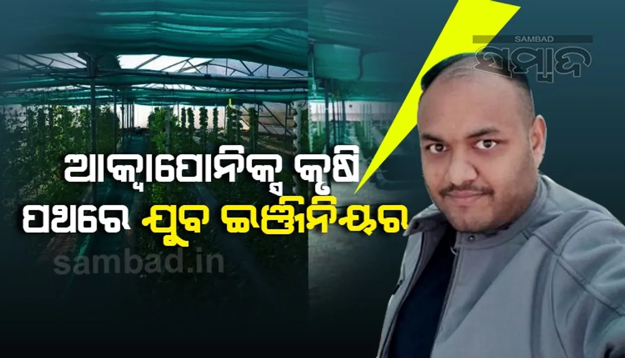  ଆକ୍ବାପୋନିକ୍ସ କୃଷି ପଥରେ ଯୁବ ଇଞ୍ଜିନିୟର: ପାରମ୍ପରିକ ଚାଷ ତୁଳନାରେ ୯୦% କମ୍‌ ଜଳ ଆବଶ୍ୟକ, ଉତ୍ପାଦନ ୧୦ ଗୁଣ ଅଧିକ