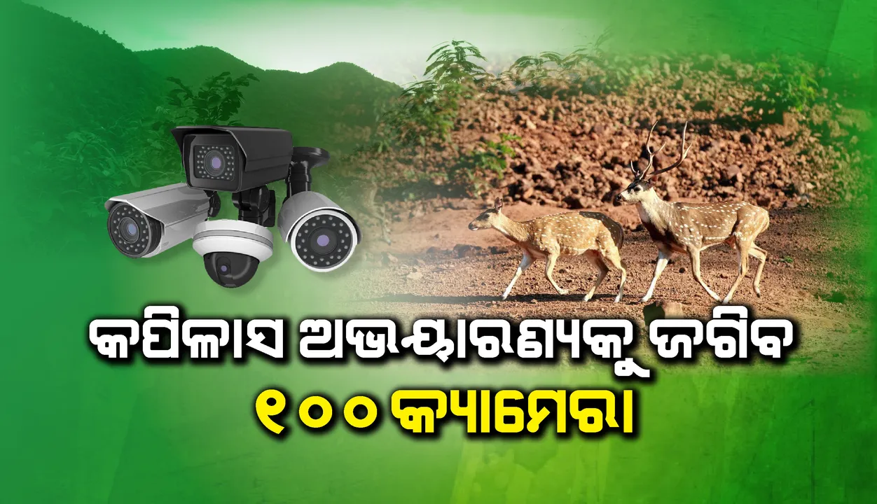  କପିଳାସ ଅଭୟାରଣ୍ୟକୁ ସୁରକ୍ଷିତ ରଖିବା ପାଇଁ ଖଞ୍ଜାଯିବ କ୍ୟାମେରା