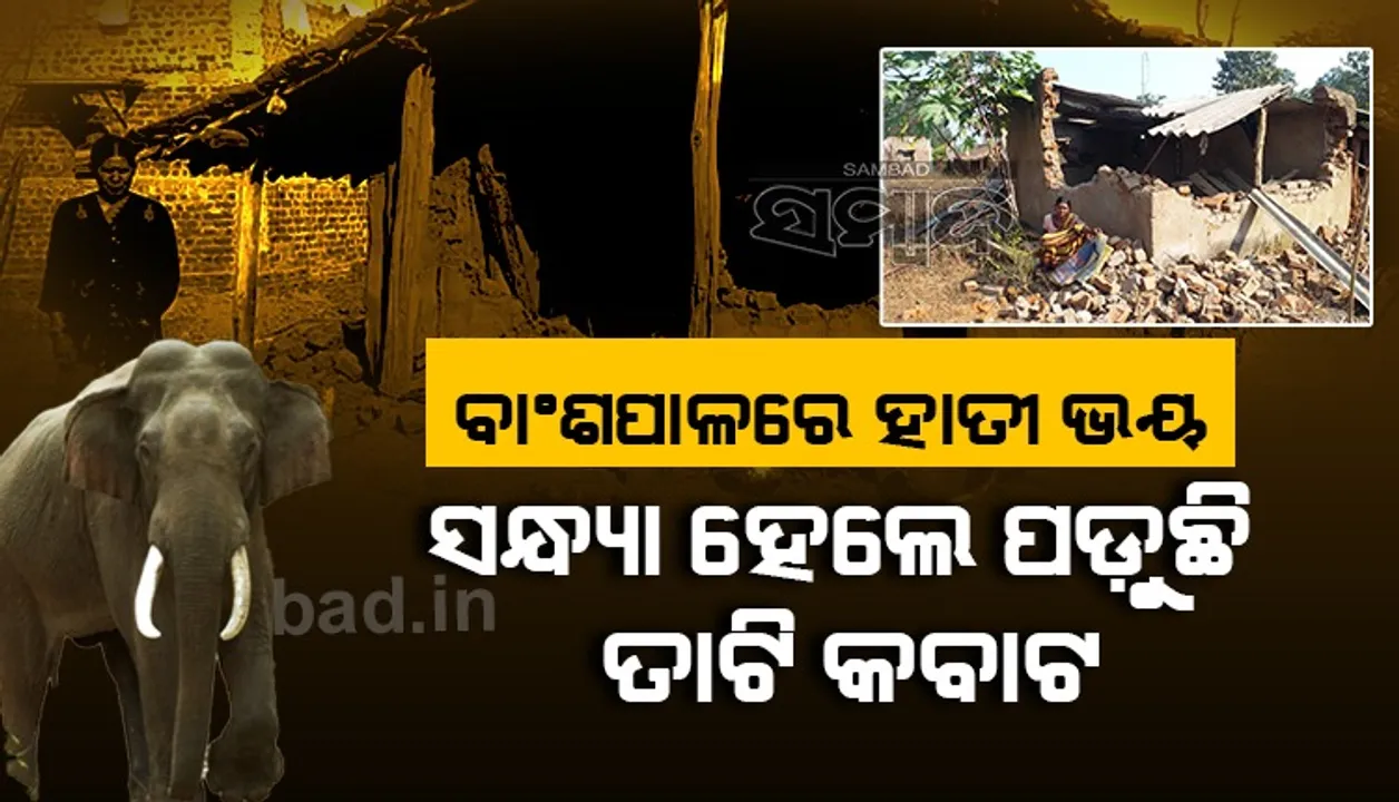  ବାଂଶପାଳ ଅଚଂଳରେ ଥମୁନି ଗୋଠ ଛଡା ଦନ୍ତା ଆତଙ୍କ, ୨ ଦିନ ଭିତରେ ଭାଙ୍ଗିଲାଣି ୧୦ଟି ଘର