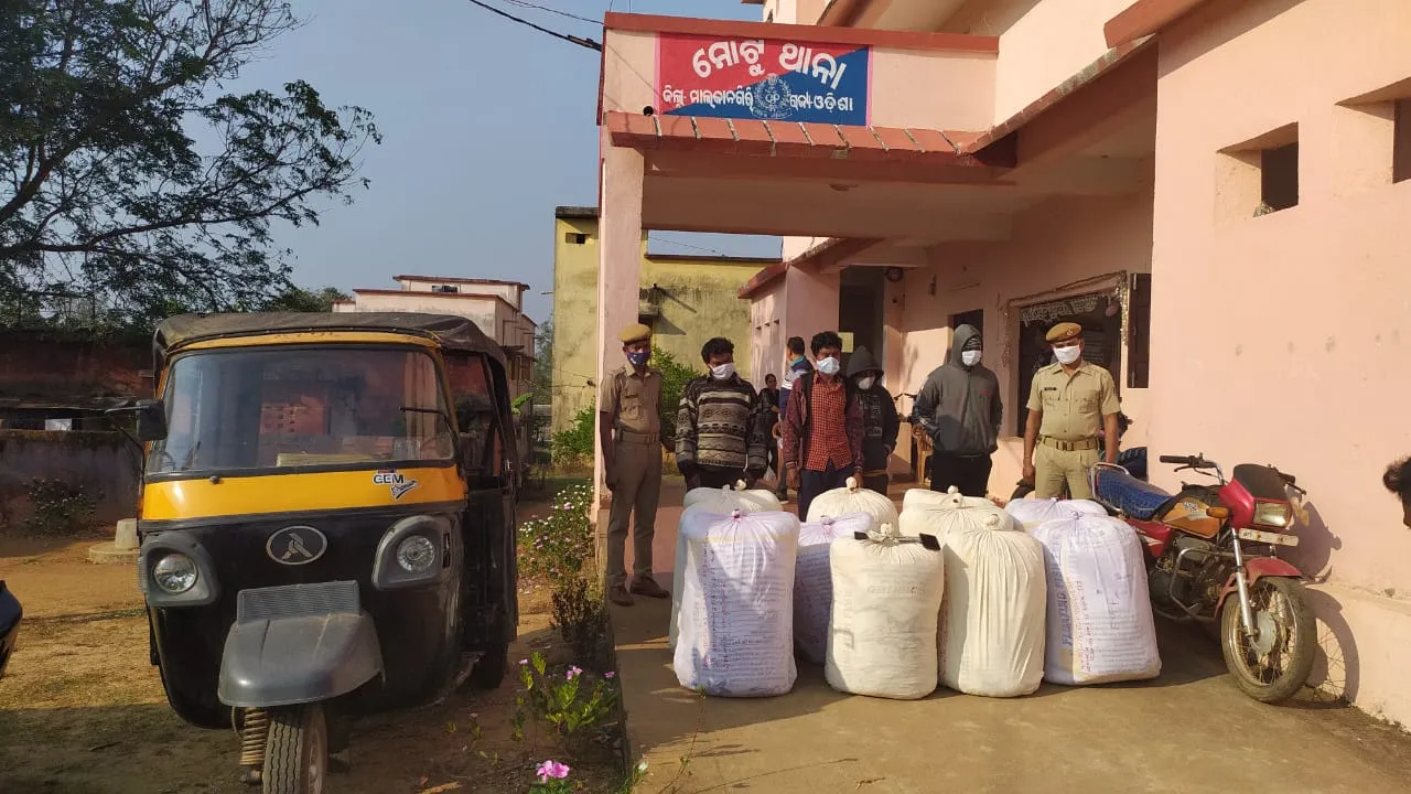  ୨୯୬ କେଜି ଗଂଜେଇ ଜବତ, ୫ ଗିରଫ