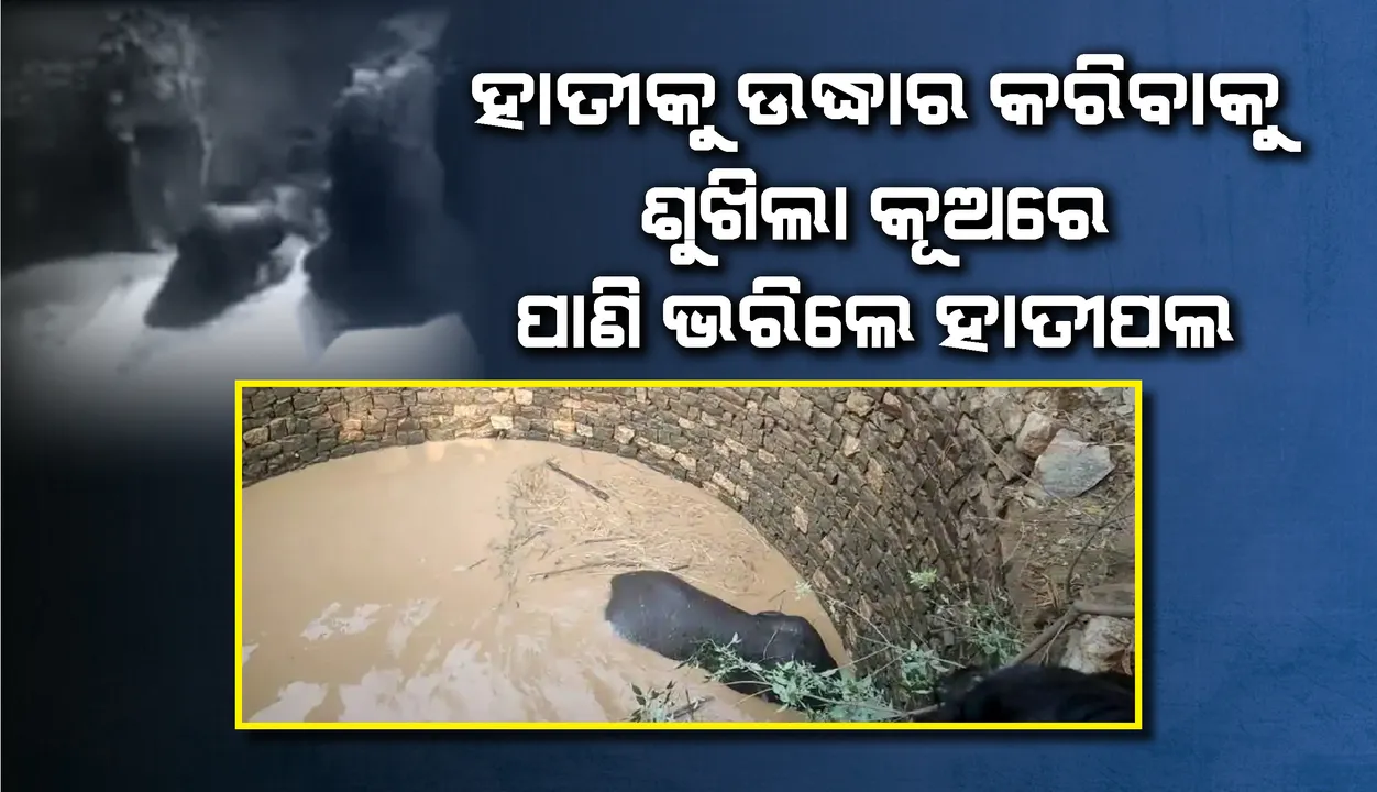  ଶୁଖିଲା କୂଅରେ ଖସିପଡ଼ିଥିବା ହାତୀକୁ ଉଦ୍ଧାର କରିବାକୁ ପାଖ ପୋଖରୀରୁ ପାଣି ଆଣି ଭରିଲେ ହାତୀପଲ