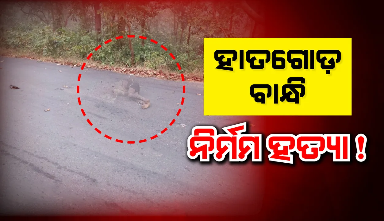  ଚାଞ୍ଚଲ୍ୟ: ହାତଗୋଡ଼ ବାନ୍ଧି ଭାରୀ ଯାନ ଚଳାଇ ନିର୍ମମ ହତ୍ୟା!