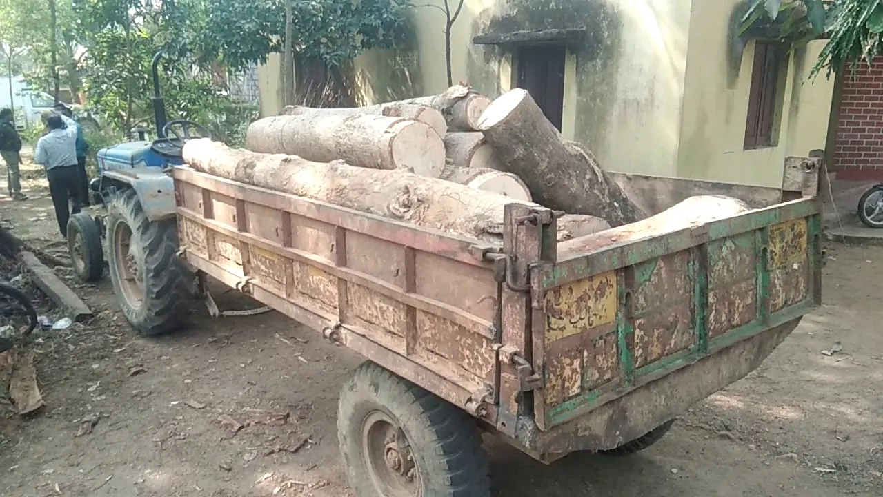  ଘଟଗାଁ : ଟ୍ରାକ୍ଟର ସହ କାଠ ଜବତ