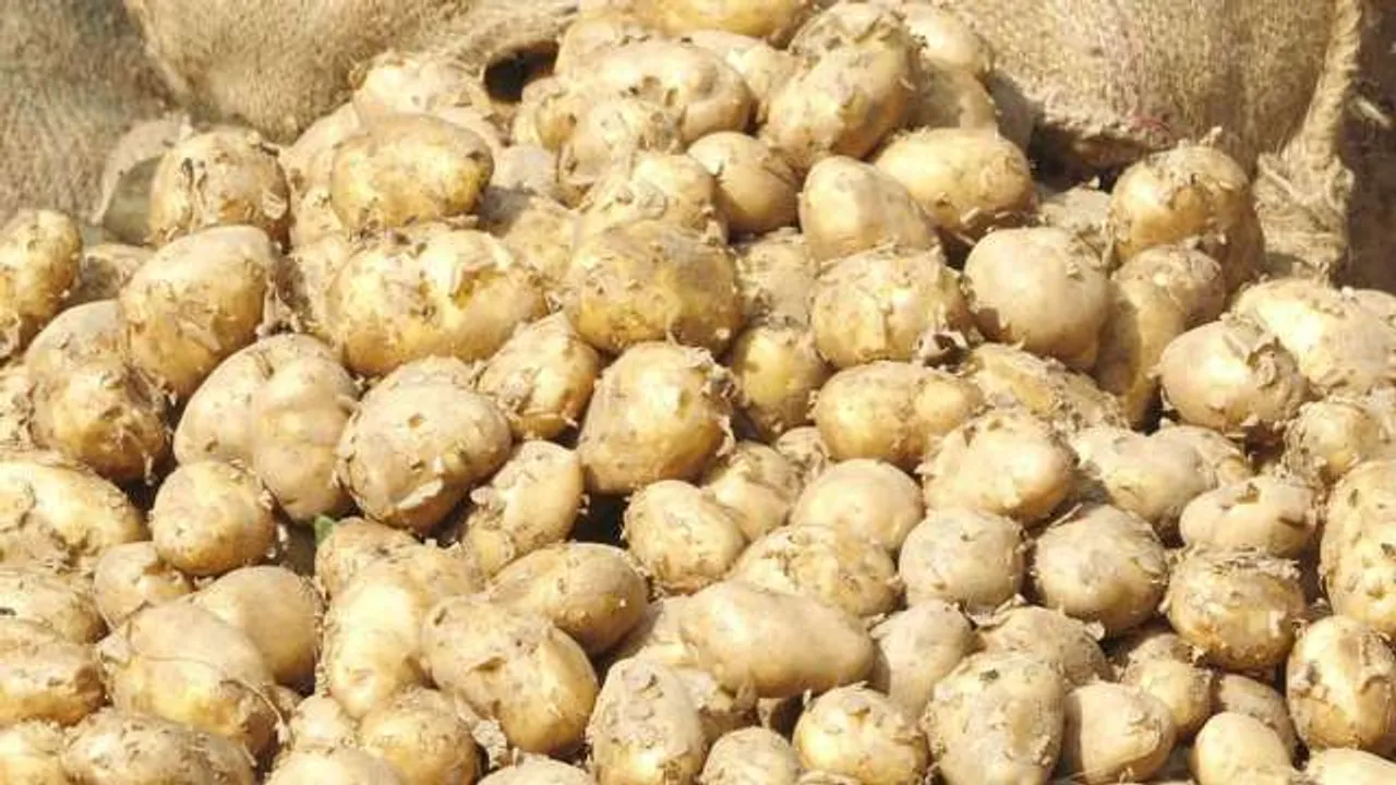  Homegardennet.com 
