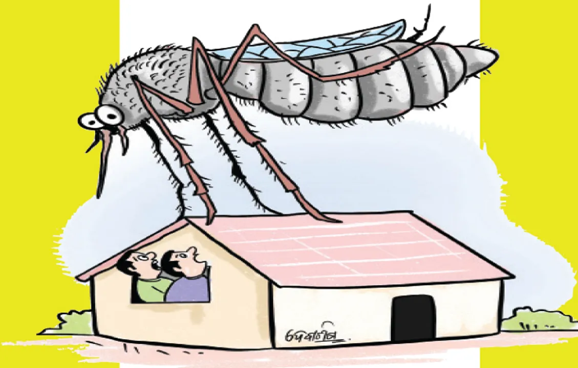  କଲବଲ କଲେଣି ମଶା: ସାନ୍ଦ୍ରତା ୬୦ ଟପିଲା, ବିଏମ୍‌ସି ‌ବେଫିକର