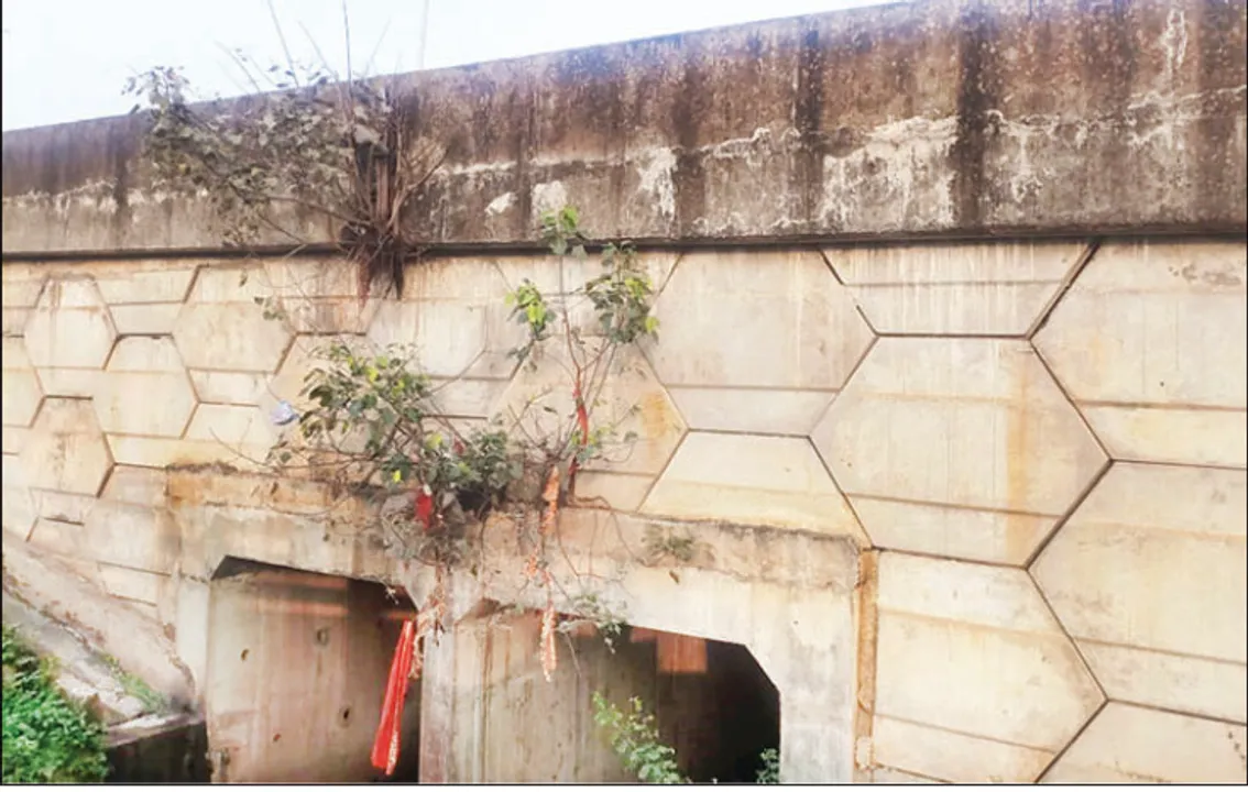  ଭୁବନେଶ୍ବର: ଓଭରବ୍ରିଜରେ ଚରିଗଲାଣି ବର, ଓସ୍ତ ଗଛ; ମେଲୁଛି ବ୍ରିଜ ଯୋଡ଼େଇ ଫାଟ
