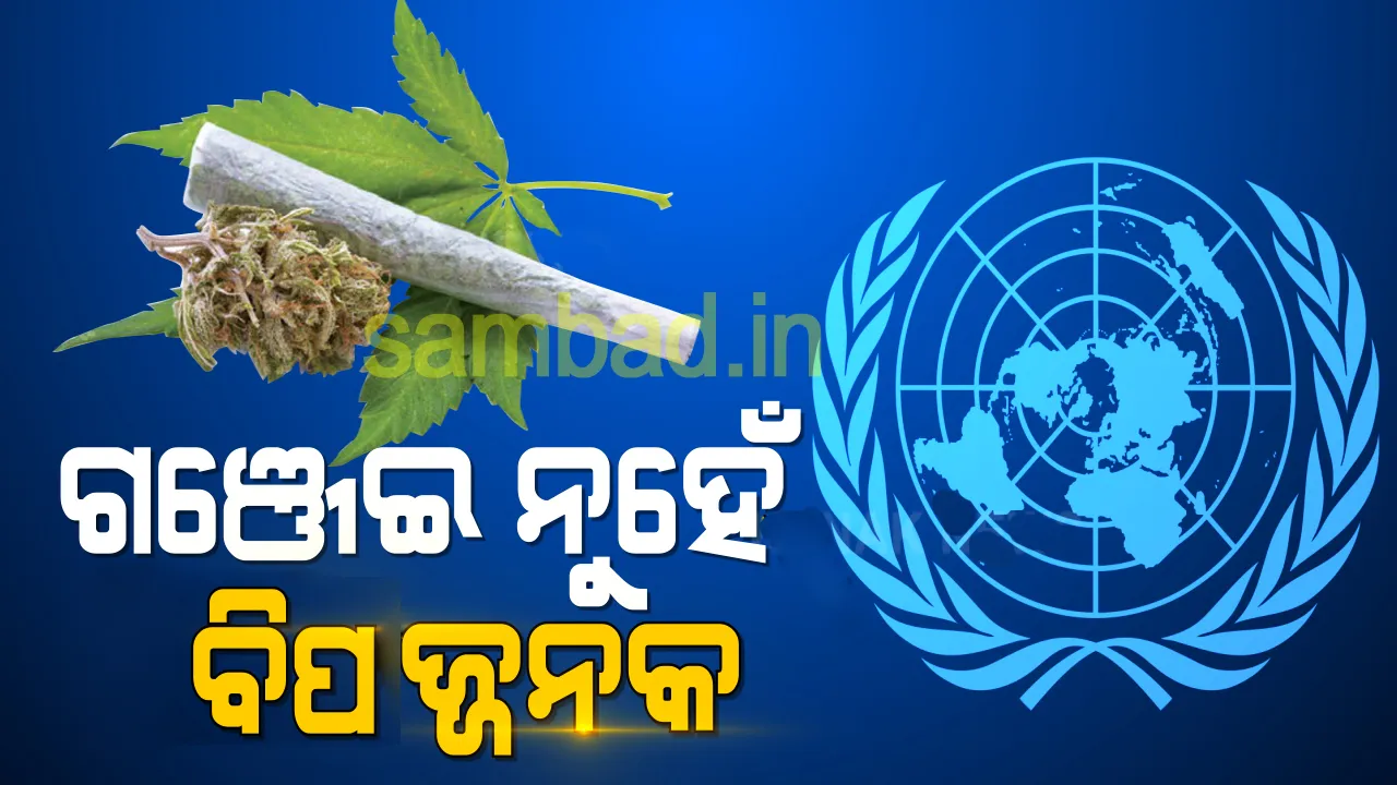  ଗଞ୍ଜେଇ ବିପଦଜନକ ନିଶାଦ୍ରବ୍ୟ ନୁହେଁ ବୋଲି ଘୋଷଣା କଲା ମିଳିତ ଜାତିସଂଘ, ସମର୍ଥନ କଲା ଭାରତ