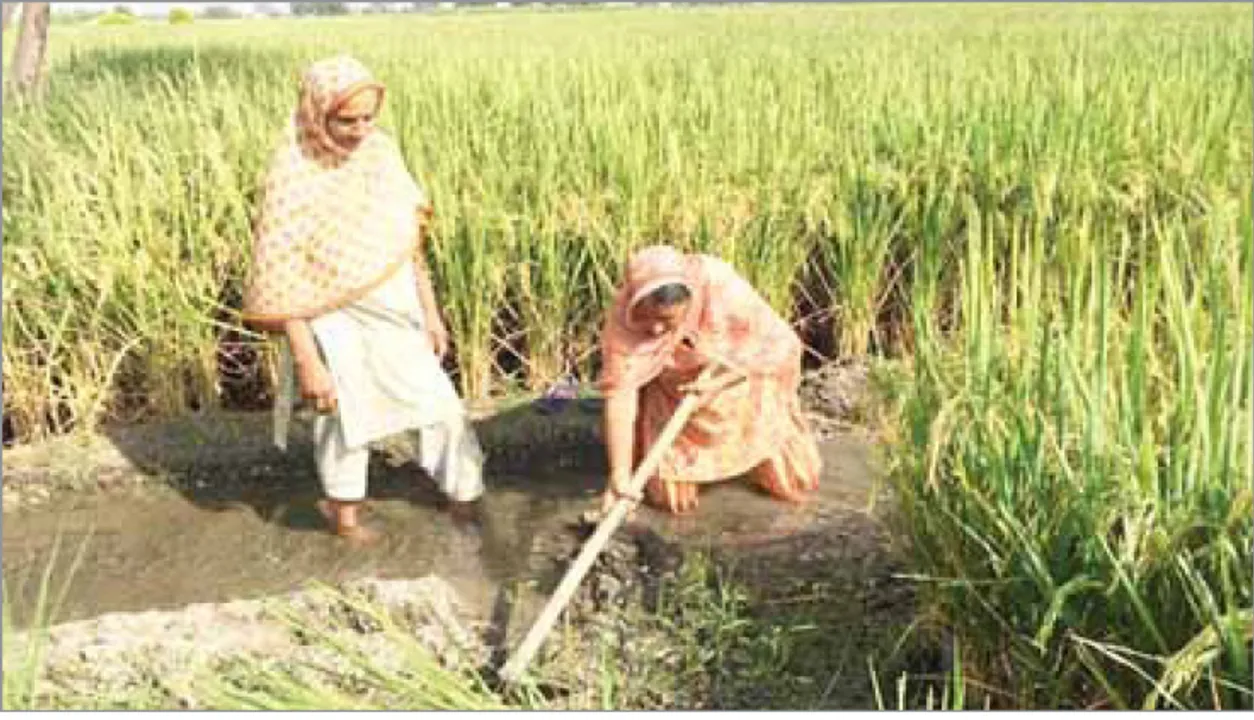  ଦିଲ୍ଲୀରେ କୃଷକ ଆନ୍ଦୋଳନ, ଉତ୍ତରପ୍ରଦେଶରେ କ୍ଷେତ ସମ୍ଭାଳୁଛନ୍ତି ମହିଳା