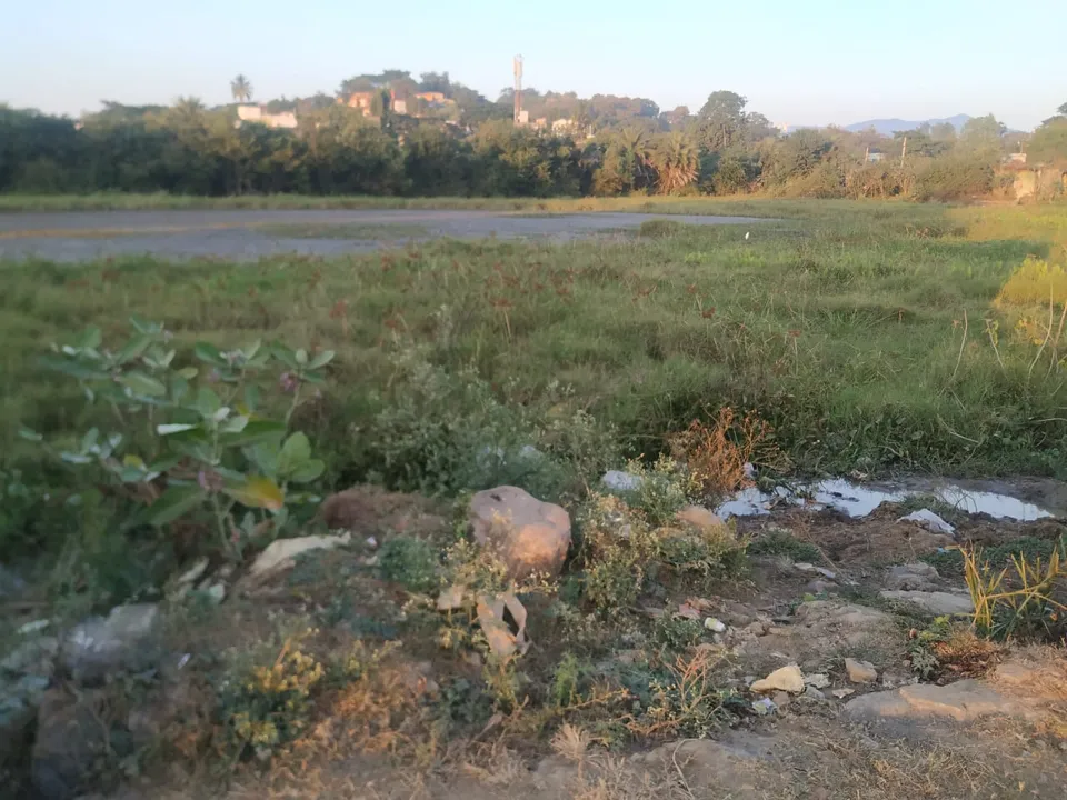  ଅସ୍ତିତ୍ବ ଖୋଜୁଛି ବିଜୁ ବୋଟିଂ ପାର୍କ