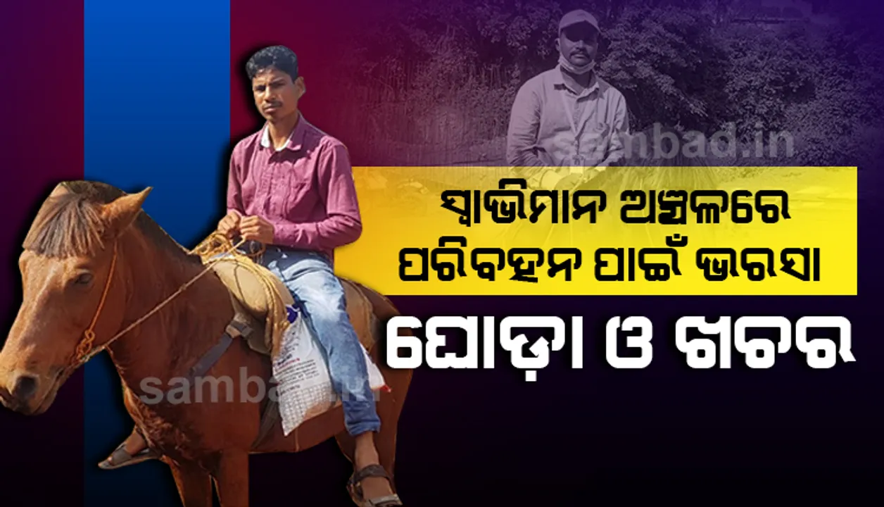  ମାଲକାନଗିରିର ସ୍ୱାଭିମାନ ଅଂଚଳରେ ପରିବହନ ପାଇଁ ଘୋଡା ଓ ଖଚରକୁ ହିଁ ଭରସା କରନ୍ତି ଲୋକେ