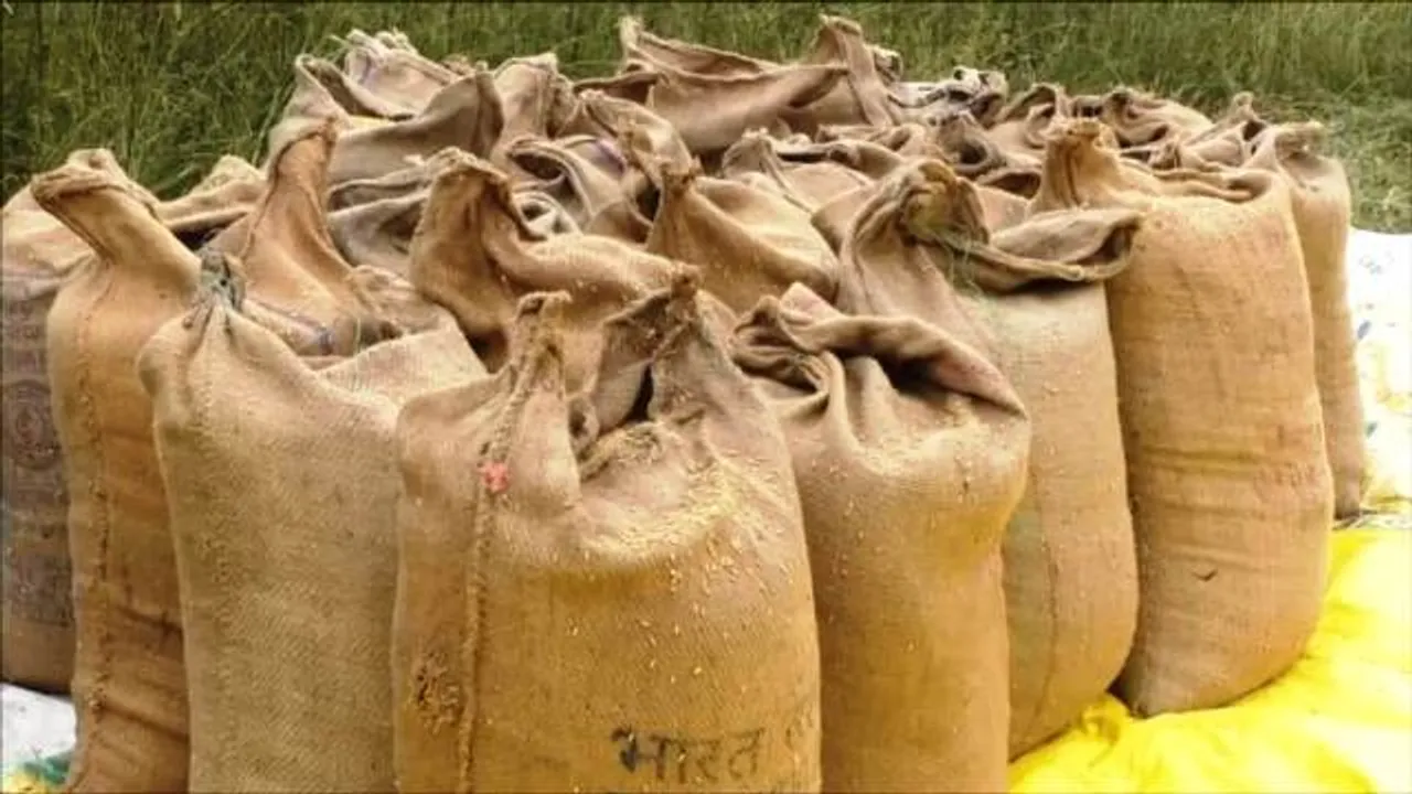  ଆଉ ୭ ଦିନ ଘୁଂଚିଲା ଖରିଫ ଧାନ ସଂଗ୍ରହ