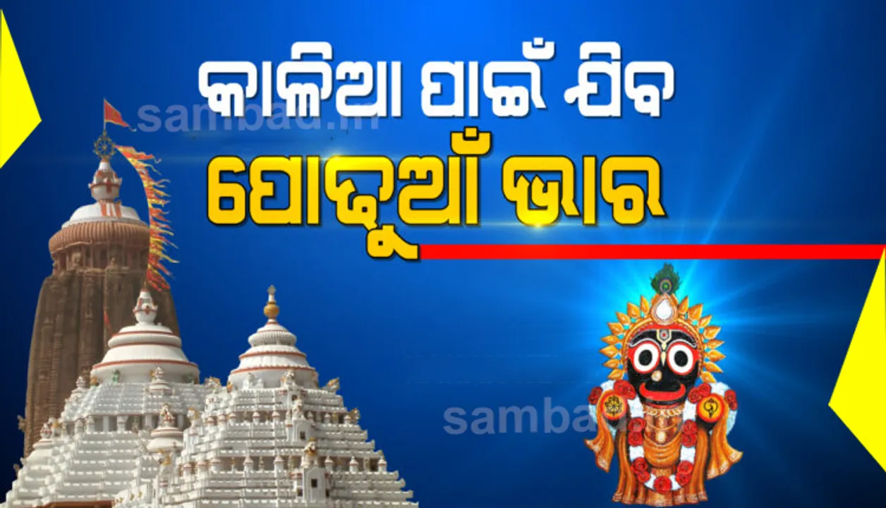  ପ୍ରଥମାଷ୍ଟମୀରେ ପୋଢୁଆଁ ହେବେ ମହାପ୍ରଭୁ ଜଗନ୍ନାଥ, ମାମୁଘର ନିଆଳି ମାଧବରୁ ଶ୍ରୀମନ୍ଦିରକୁ ଯିବ ପୋଢୁଆଁ ଭାର