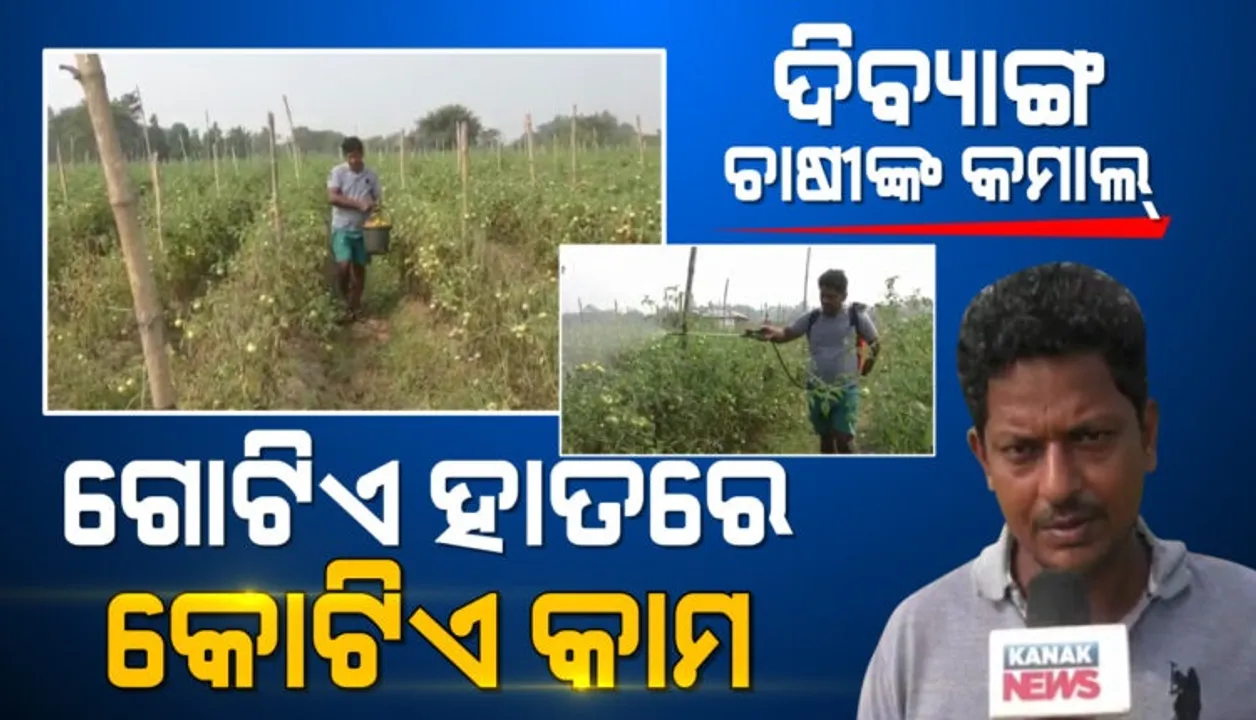  ପାପୁଲି ନ ଥିଲେ କ’ଣ ହେଲା? ଚାଷ କରି ନିଜେ ସ୍ବାବଲମ୍ବୀ ହେବା ସହ ୨୦ ପରିବାରକୁ ରୋଜଗାର ଦେଇଛନ୍ତି ବିଭୂତି
