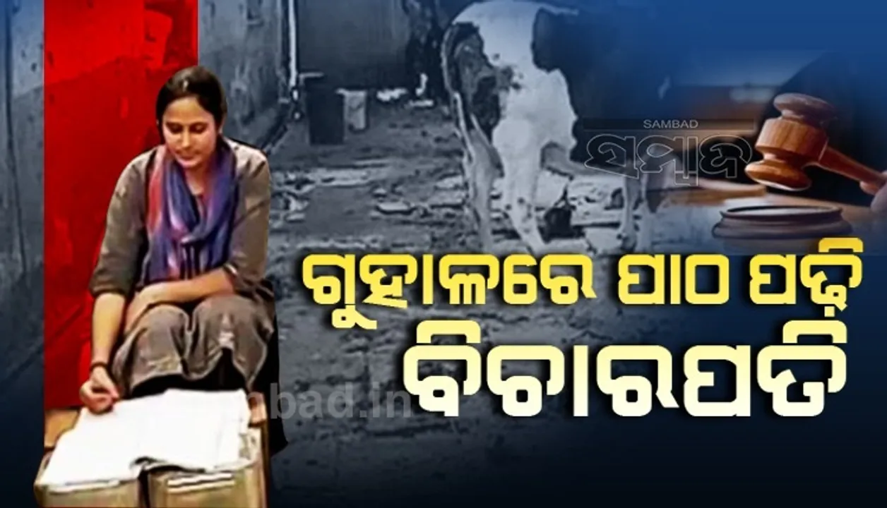  ଗୁହାଳ ସଫା କରୁଥିଲେ, କ୍ଷୀର ବିକ୍ରି କରୁଥଲେ; ଏବେ ସେସନ କୋର୍ଟରେ ପ୍ରଥମ ଶ୍ରେଣୀ ମାଜିଷ୍ଟ୍ରେଟ୍ ହେଲେ ସୋନଲ